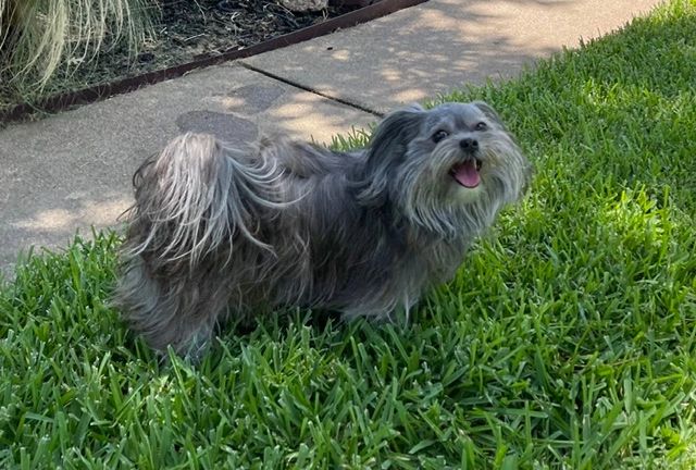 Libby — our first love